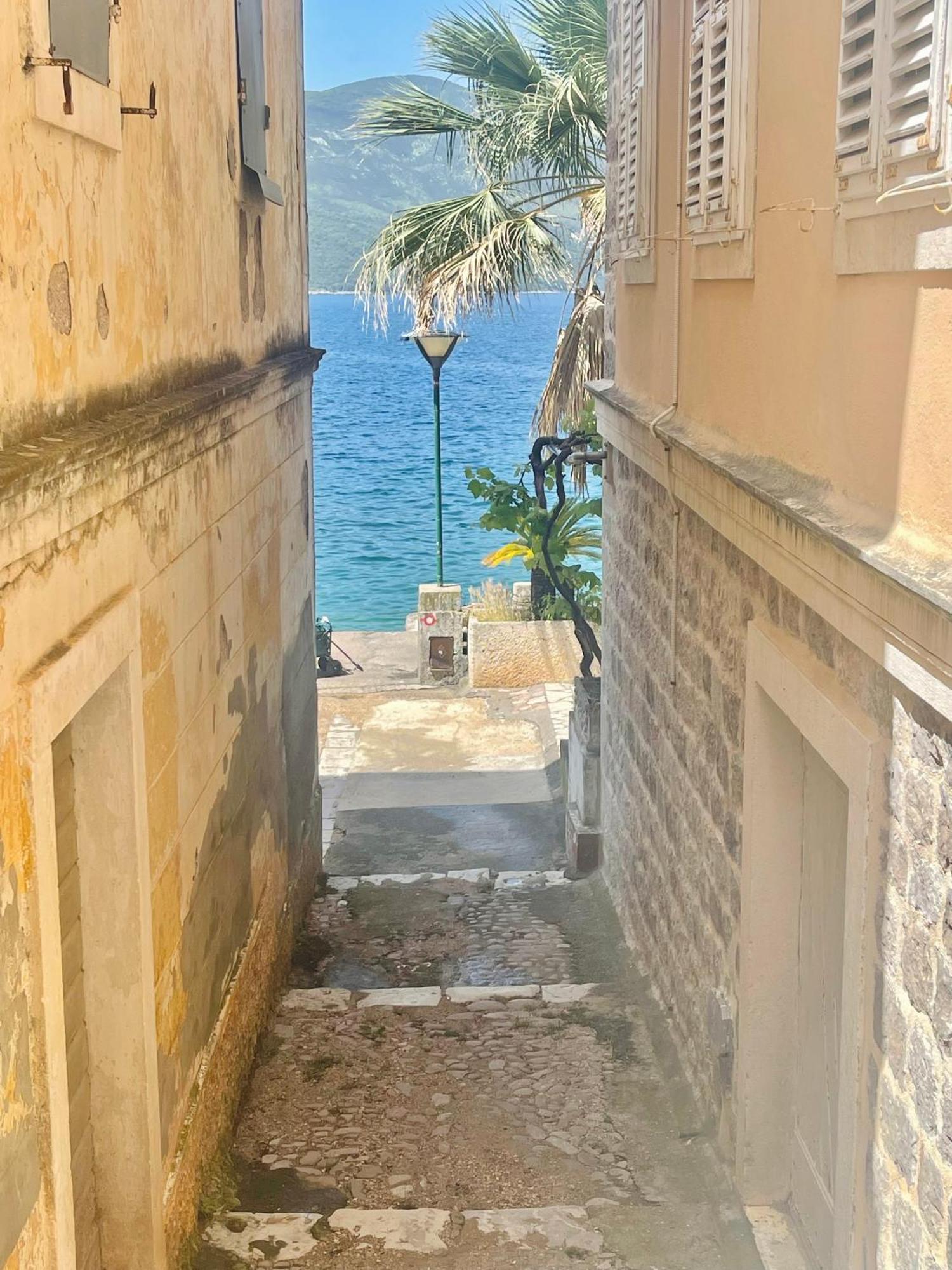 Hearth Of Rose Leilighet Herceg Novi Eksteriør bilde